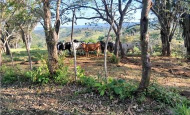 VENDO.FINCA DE 119 Hectareas Planas