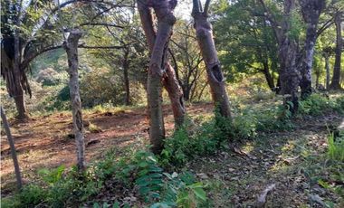 VENDO.FINCA DE 119 Hectareas Planas