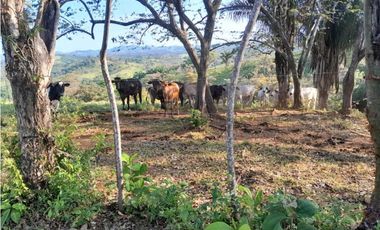 VENDO.FINCA DE 119 Hectareas Planas