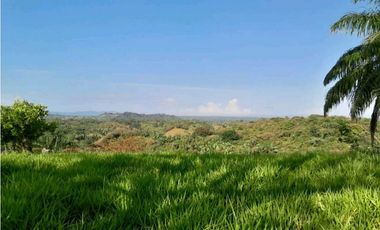 VENDO.FINCA DE 119 Hectareas Planas