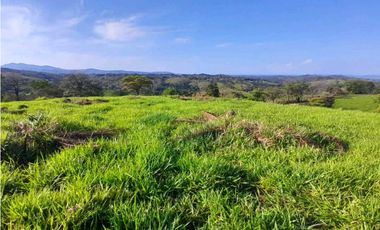 VENDO.FINCA DE 119 Hectareas Planas