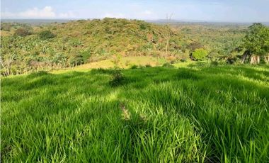 VENDO.FINCA DE 119 Hectareas Planas