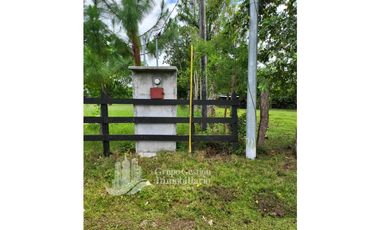 SE VENDE FINCA 7 HECTAREAS, SIOGUI ALANJEL
