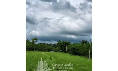 SE VENDE FINCA 7 HECTAREAS, SIOGUI ALANJEL