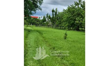 SE VENDE FINCA 7 HECTAREAS, SIOGUI ALANJEL