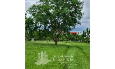 SE VENDE FINCA 7 HECTAREAS, SIOGUI ALANJEL