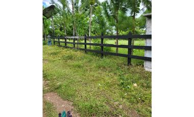 SE VENDE FINCA 7 HECTAREAS, SIOGUI ALANJEL