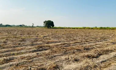 Land for sale in Huai Sai Nuea, Phetchaburi