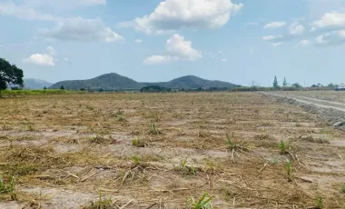 Land for sale in Huai Sai Nuea, Phetchaburi