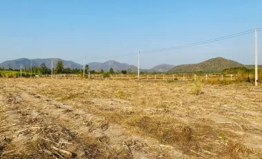 Land for sale in Huai Sai Nuea, Phetchaburi
