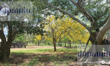 Rancho en Venta en Aldama