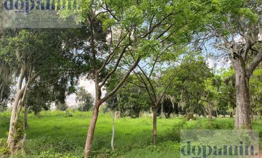 Rancho en Venta en Aldama