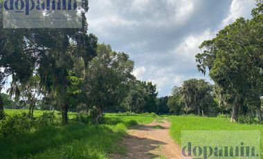 Rancho en Venta en Aldama