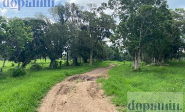 Rancho en Venta en Aldama