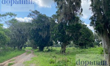 Rancho en Venta en Aldama