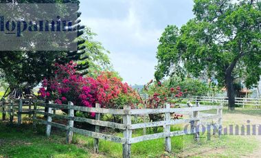Rancho en Venta en Aldama