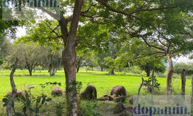 Rancho en Venta en Aldama