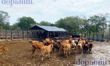 Rancho en Venta en Aldama
