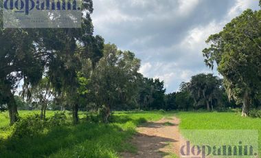 Rancho en Venta en Aldama