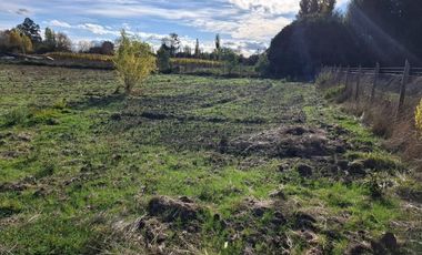 Parcela de Media Hectárea, en Sector Cerrillos, Longavi
