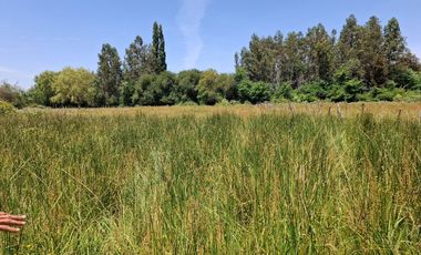 Parcela de 1,9 Hectáreas, en sector Las Rozas, Longavi