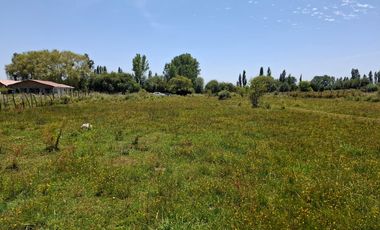Parcela de 1,9 Hectáreas, en sector Las Rozas, Longavi