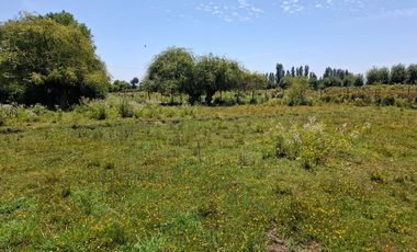 Parcela de 1,9 Hectáreas, en sector Las Rozas, Longavi