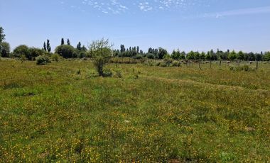 Parcela de 1,9 Hectáreas, en sector Las Rozas, Longavi