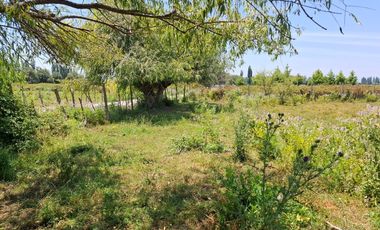 Parcela de 1,9 Hectáreas, en sector Las Rozas, Longavi