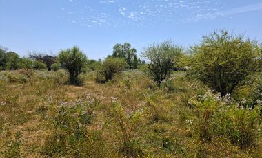 Parcela de 1,9 Hectáreas, en sector Las Rozas, Longavi