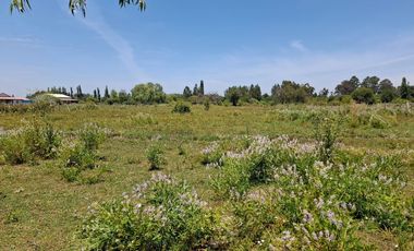 Parcela de 1,9 Hectáreas, en sector Las Rozas, Longavi