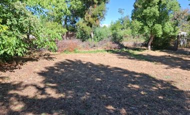 Casa y Parcela de 1 Hectárea en sector San Antonio Encina