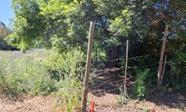 Casa y Parcela de 1 Hectárea en sector San Antonio Encina