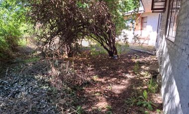 Casa y Parcela de 1 Hectárea en sector San Antonio Encina