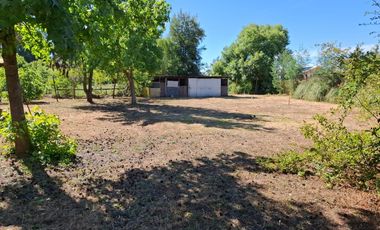 Casa y Parcela de 1 Hectárea en sector San Antonio Encina