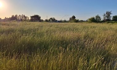 Parcela Media Hectárea, en Loteo Bellavista Sector Guadantum