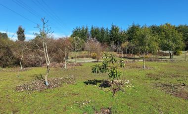 Casa y Parcela de Media Hectárea, Loteo El Molino
