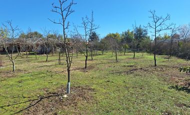 Casa y Parcela de Media Hectárea, Loteo El Molino