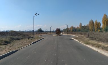 Parcela de Media hectárea , ubicada en Alto Linares II