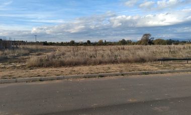 Parcela de Media hectárea , ubicada en Alto Linares II
