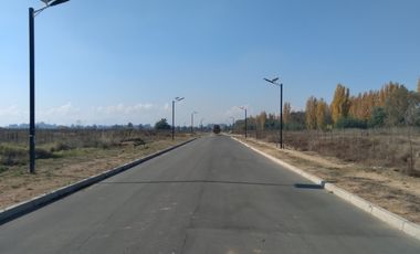 Parcela de Media hectárea , ubicada en Alto Linares II