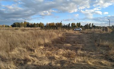 Parcela de Media hectárea , ubicada en Alto Linares II