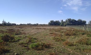 Casa y Parcela de 9.000.- Mts2, en Sector Maitencillo