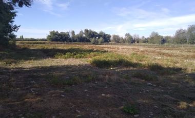 Casa y Parcela de 9.000.- Mts2, en Sector Maitencillo
