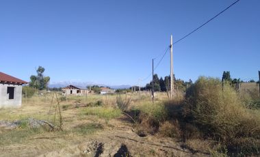 Casa y Parcela de Media Hectárea en Loteo Pamparrasa