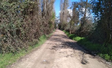 Parcela de Media Hectárea, Cerrillos comuna de Longavi