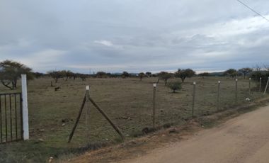 Dos Parcelas en Sector Purapel, Carretera los Conquistadores
