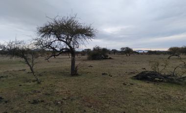 Dos Parcelas en Sector Purapel, Carretera los Conquistadores