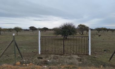 Dos Parcelas en Sector Purapel, Carretera los Conquistadores