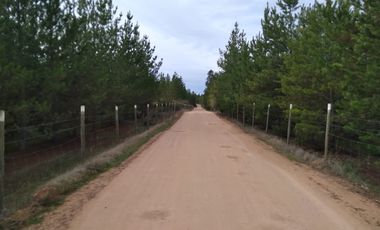 Dos Parcelas en Sector Purapel, Carretera los Conquistadores